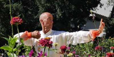 Qigong im Park 2021